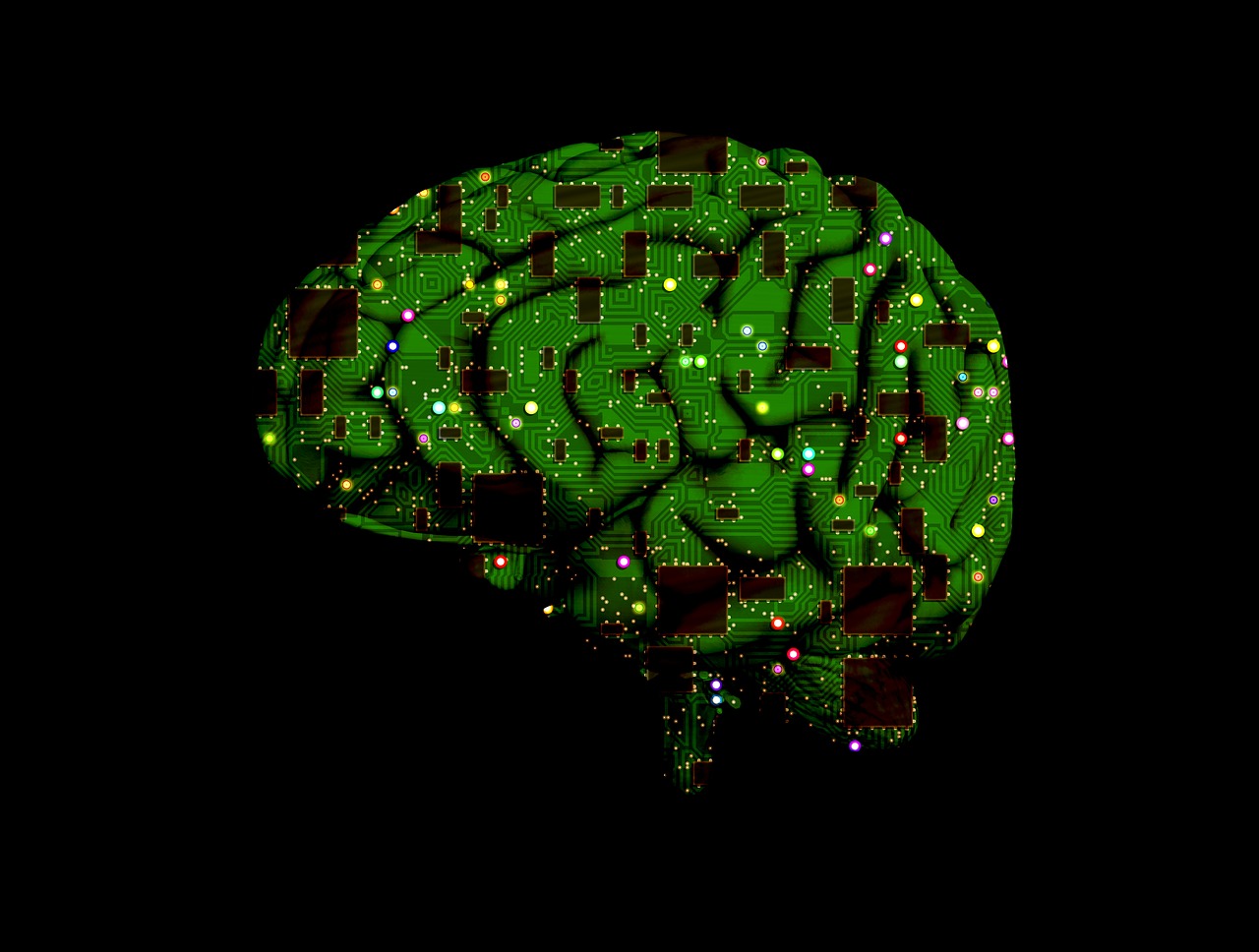 Circuit board shaped like a brain